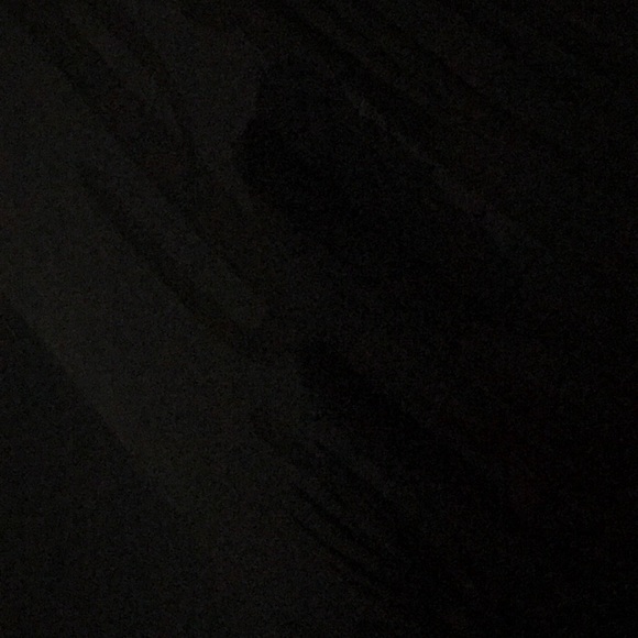 Meet your Posher, Joey - Picture 1 of 1